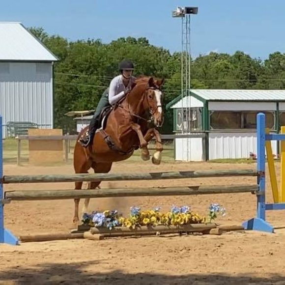 Meet your Posher, Lauren - Picture 5 of 5